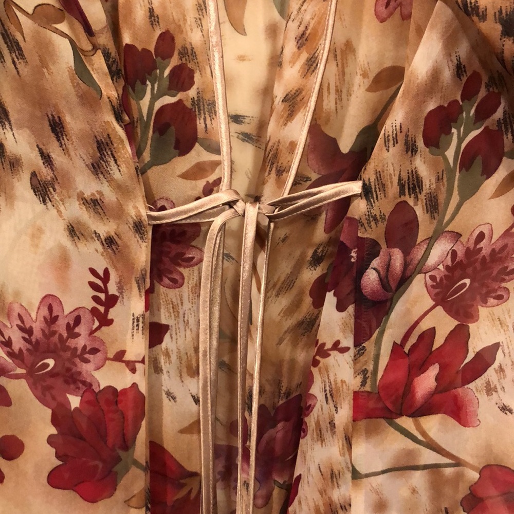 Sheer Robe 👘 Swim Cover Up - Picture 2 of 5